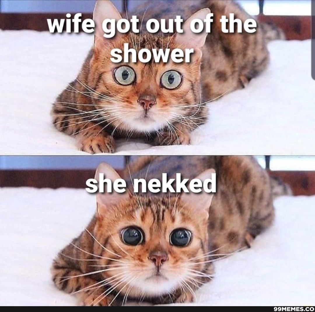 Shower wife